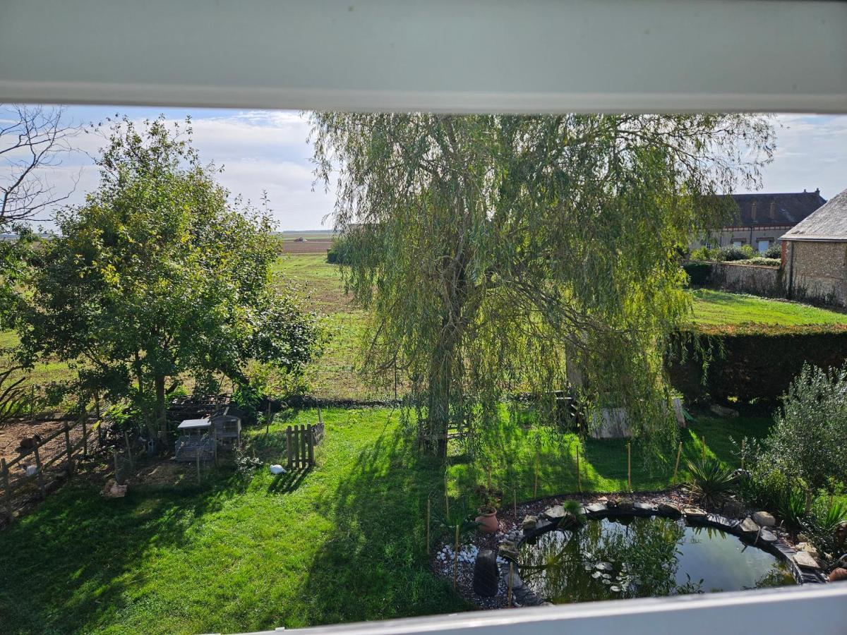 Au Nid Des Champs, Agreable Chambre D'Hotes, Proche De Chartres Dammarie  Eksteriør billede